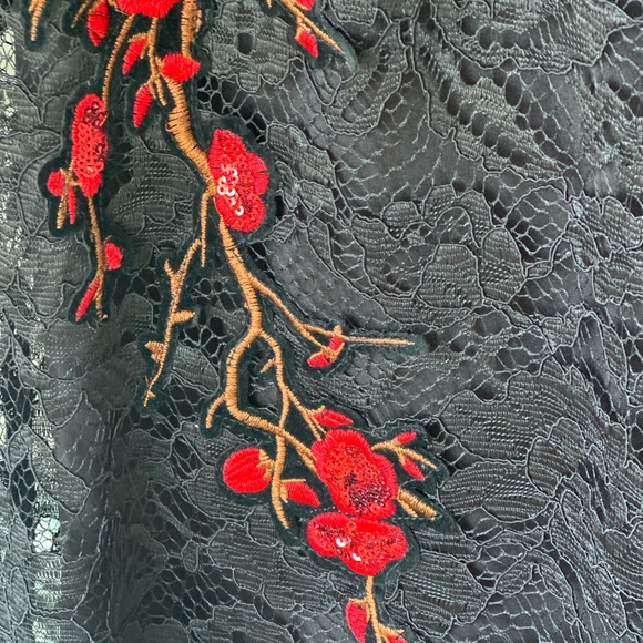 Nicole Miller Black Red Lace Sleeveless Christmas Holiday NYE Dress  Sz 12 - Picture 4 of 11